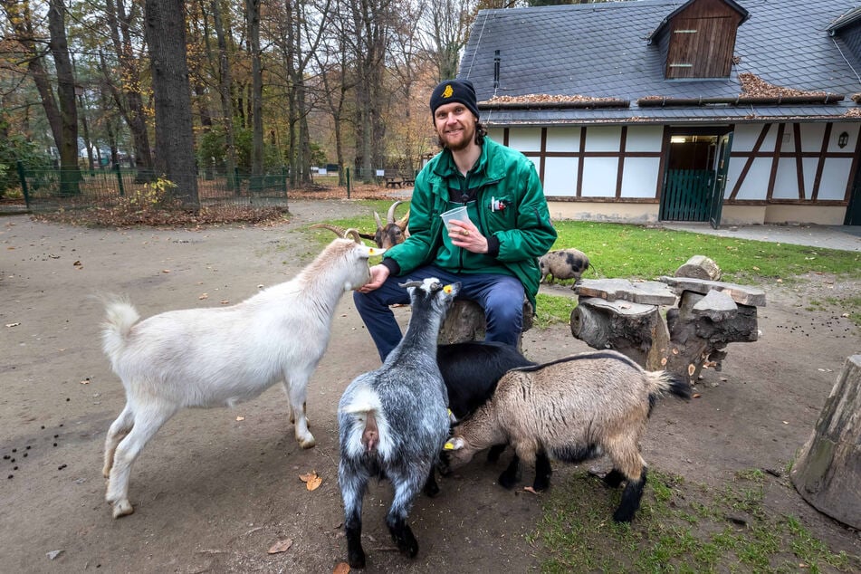 Zoopädagoge Jan Klösters (37) schaut so oft es geht im Streichelzoo vorbei.