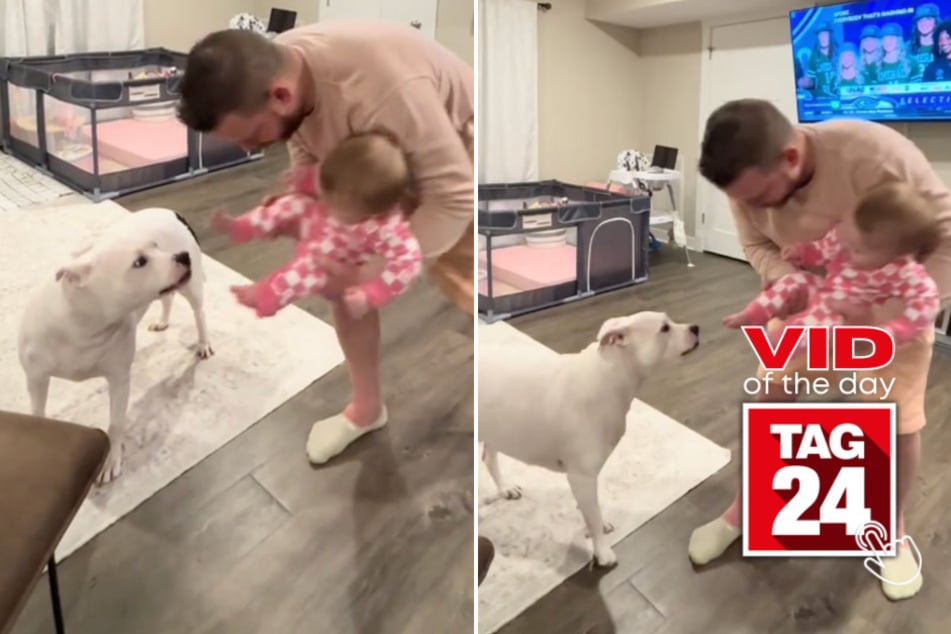 viral videos: Viral Video of the Day for May 1, 2024: Baby can't stop laughing at dog who likes to nip toes!
