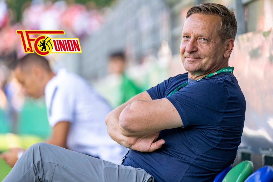 Weitere Neuzugänge für Union? "Wie mit einer neuen Frau"