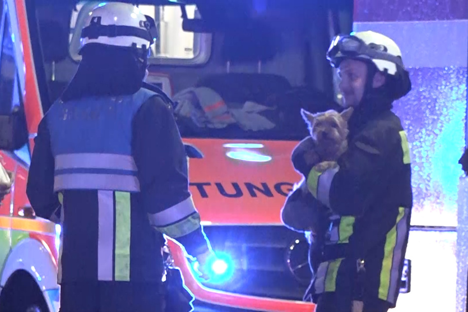 Ein Feuerwehrmann hat den geretteten Hund auf dem Arm.
