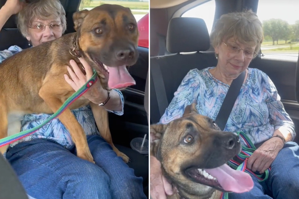 Mary Lou decided she needed a new companion after her husband's death, so she rescued a pup named Luna.