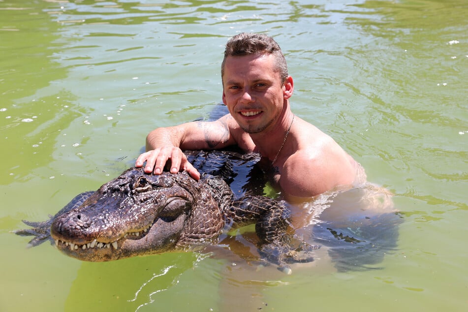 Krystian Kaulis, fils de Klaus Kaulis, joue et câline dans la piscine avec Mme Meyer l'alligator.