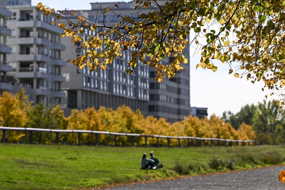 Berliner und Brandenburger können sich auf sonnige Herbsttage freuen. (Symbolbild)