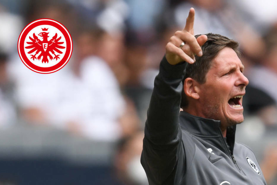 Eintracht Frankfurt setzt beim BVB auf Sieg, aber Kapitän Rode fällt aus
