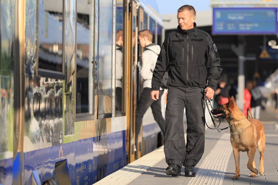 Fachkräfte auf vier Pfoten: Polizeihunde in Sachsen-Anhalt sind länger im Einsatz