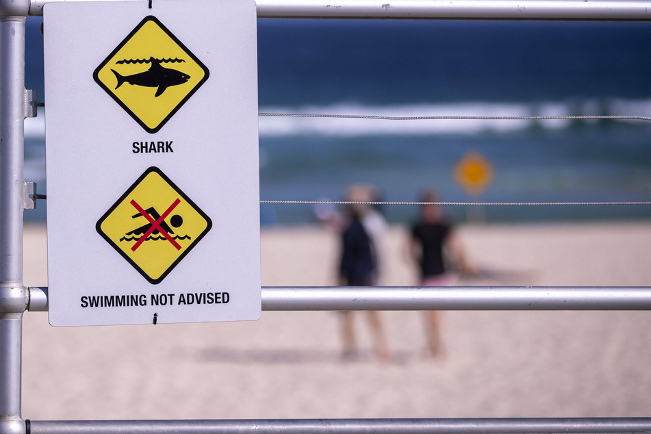 Sydney beaches closed after reports of first deadly shark attack in decades!