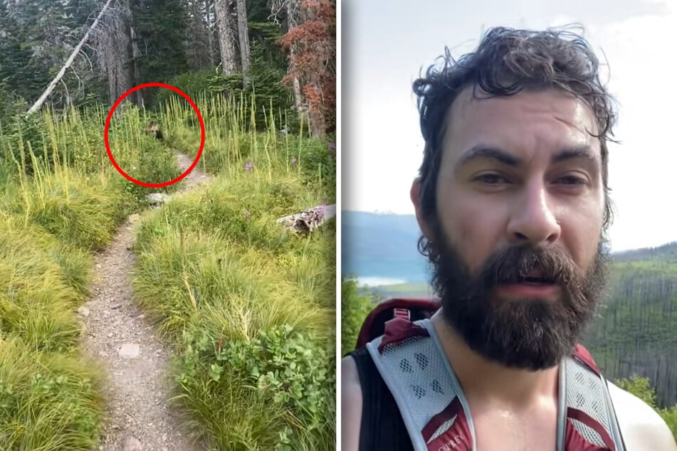 Joe Duffy (31) wurde gleich von mehreren Bären verfolgt.