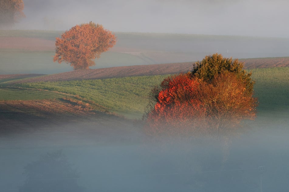 Nebel legt sich übers Ländle - aber auch viel Sonne möglich