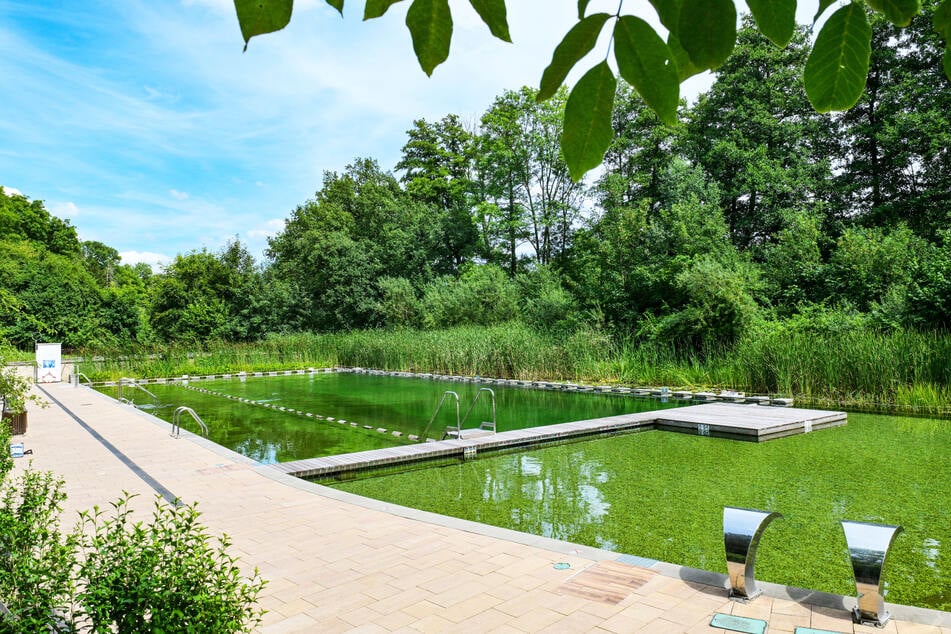 Das Zschonergrundbad ist das beste Freibad in Deutschland.