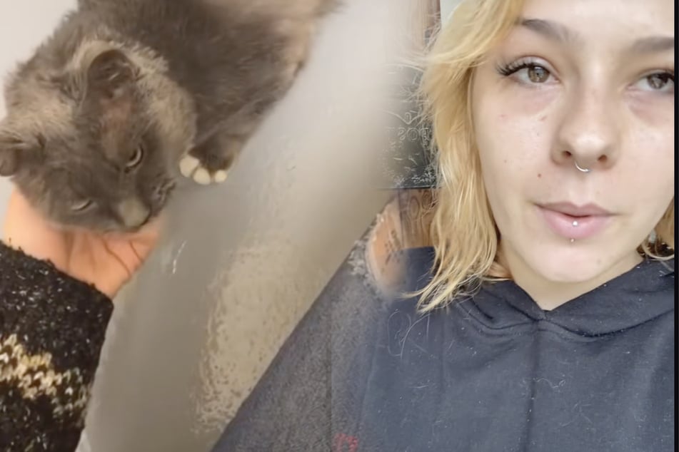 Elderly shelter cat refuses to see anyone until one special woman shows up