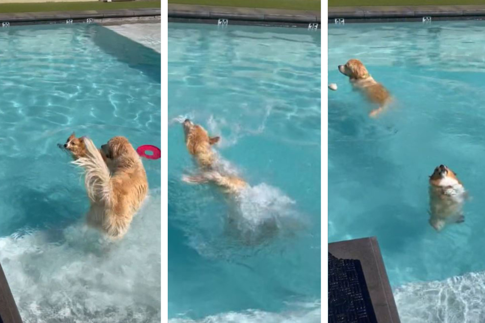 "Aus dem Weg!" Maui will den Ball haben. Dafür donnert er im Notfall auch über Ruby. Die ist danach ziemlich perplex.