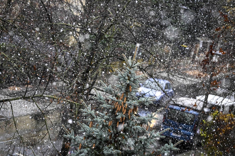 Die Berliner und Brandenburger erwarten in den kommenden Tagen Schnee und Glätte. (Symbolbild)