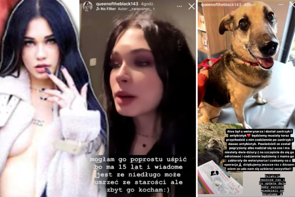 YouTuberin Julia Pelc (17), in den sozialen Medien als Queen of the Black bekannt, sammelte angeblich für die medizinische Behandlung eines Hundes.