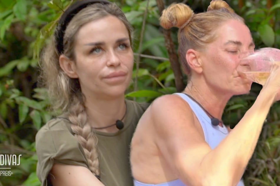 Suff-Vorfall im TV-Dschungel: "Trink' weniger und hab dich im Griff!"