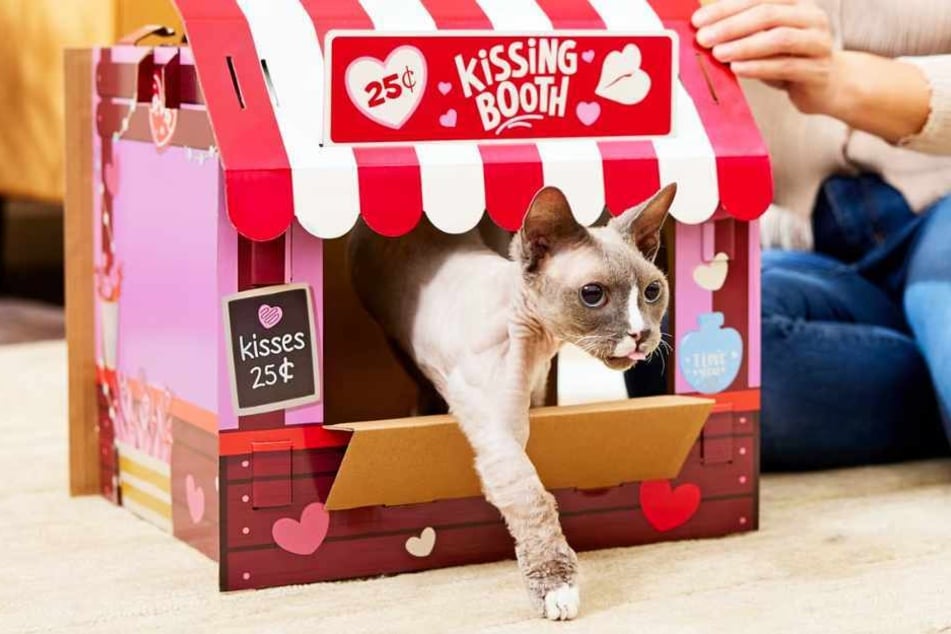 Does your cat think rent is optional? This might help balance things out