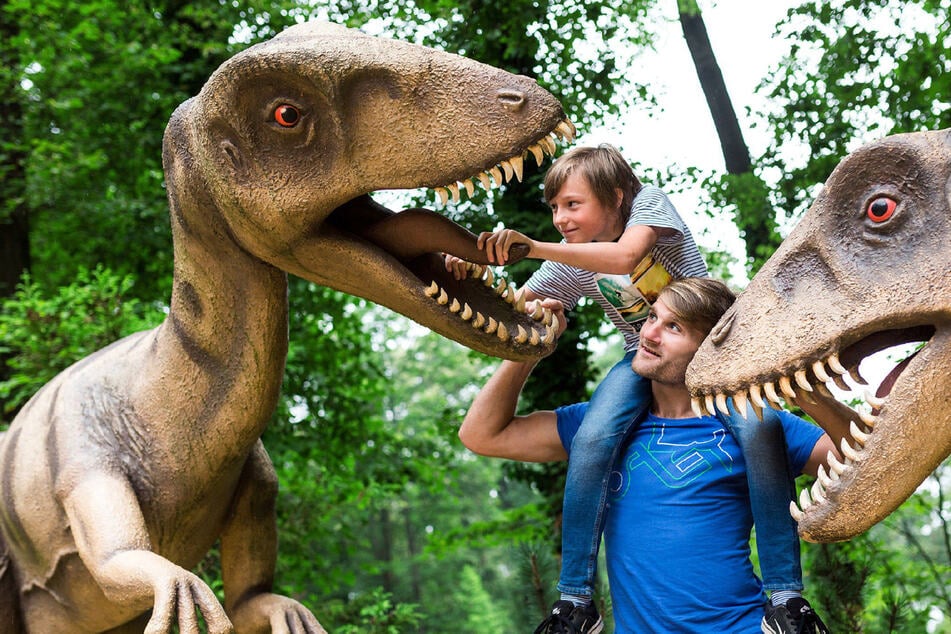 Dino-Fans aufgepasst: Diese Neuheiten gibt's jetzt im Saurierpark Kleinwelka zu entdecken!