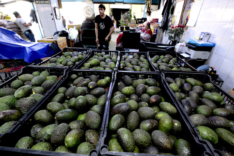 Boxes of avocados are seen at the Central de Abastos market in Guadalajara, Jalisco state, Mexico on Friday.