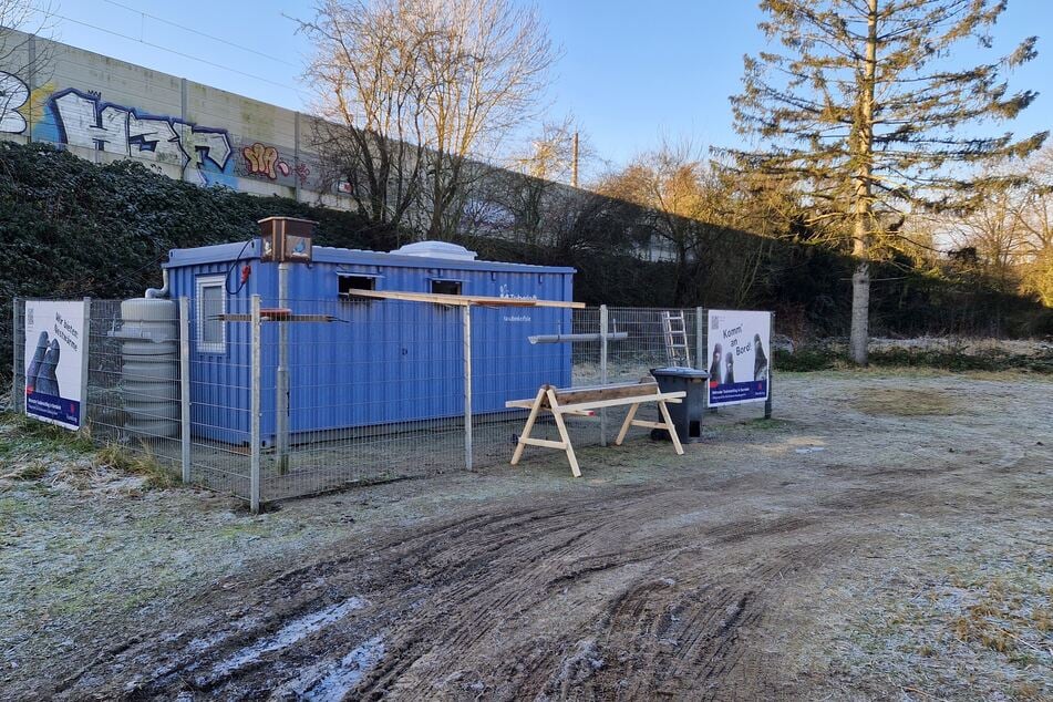 Der Taubenschlag in der Nähe des Barmbeker Bahnhofs wurde offiziell im November 2024 eröffnet. Im selben Jahr wurde von der Bürgerschaft über eine Million Euro für die Betreuung von sechs weiteren Taubenschlägen beschlossen. 2026 soll die Aufstellung von je drei Schlägen in Altona und Mitte erfolgen.