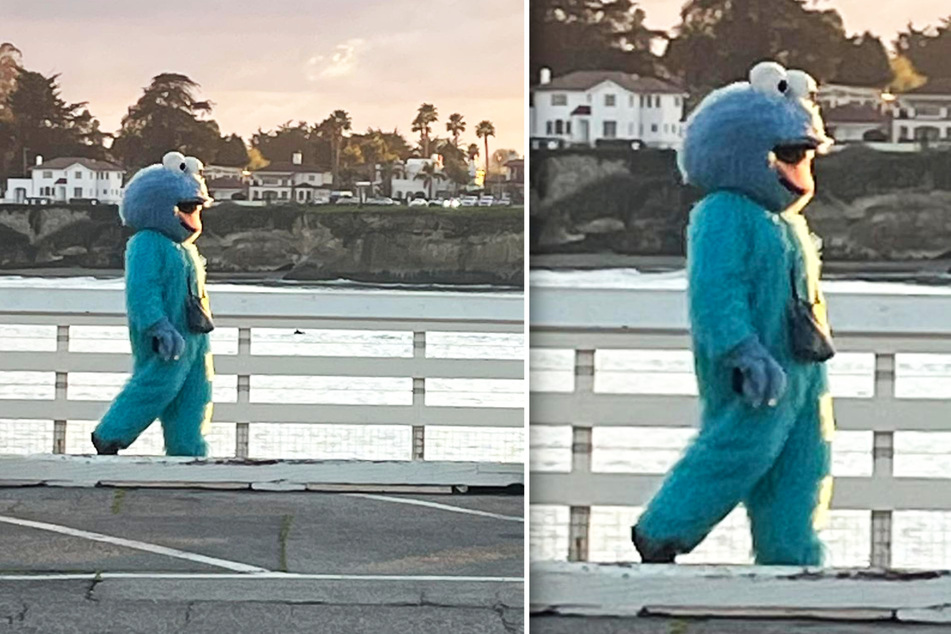 Immer wieder sichten Anwohner von Santa Cruz den gruseligen Mann im Krümelmonster-Kostüm. Hier, wie er auf dem Kai von Santa Cruz entlangschlendert.