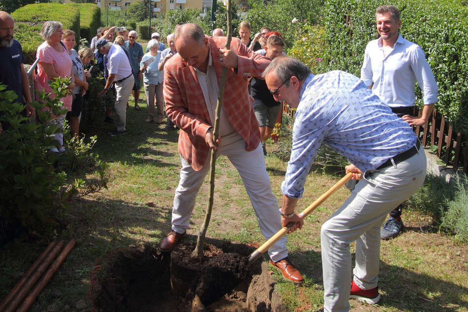 OB Dirk Hilbert besuchte den Kleingartenverein "Wilder Mann" anlässlich dessen 100. Geburtstages und pflanzte mit Amtsleiter Stadtgrün Detlef Thiel (r.) einen Apfelbaum.