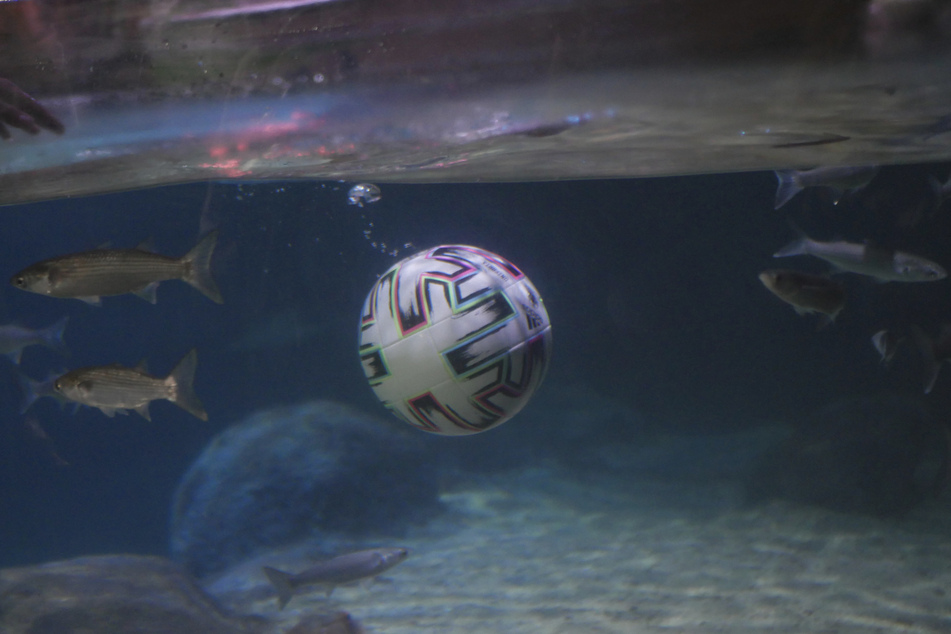 Langsam sinkt der gefüllte Ball für den Unterwasser-Check auf den Grund.