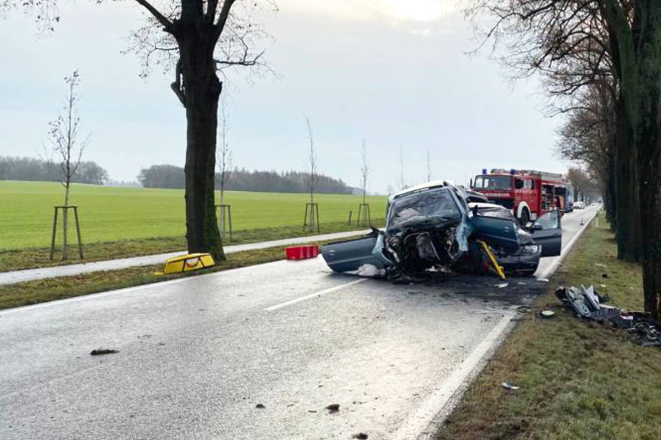 Peugeot kracht bei Anklam gegen Baum, Linienbus verunglückt auf Rügen: Fünf Schwerverletzte