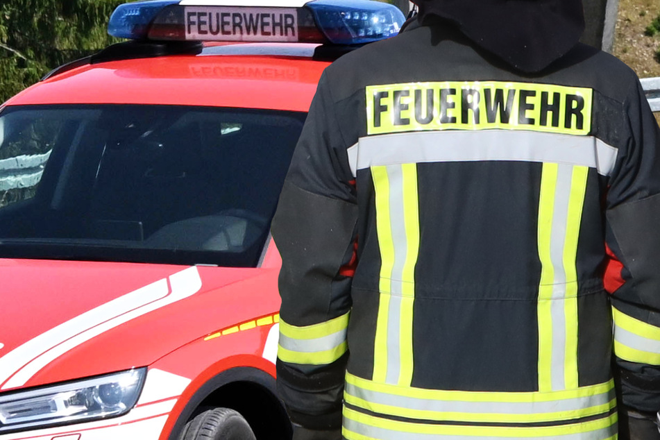 Geschulte Schlangenfänger der Wiesbadener Feuerwehr rückten aus, doch ihr Einsatz nahm eine überraschende Wendung. (Symbolbild)