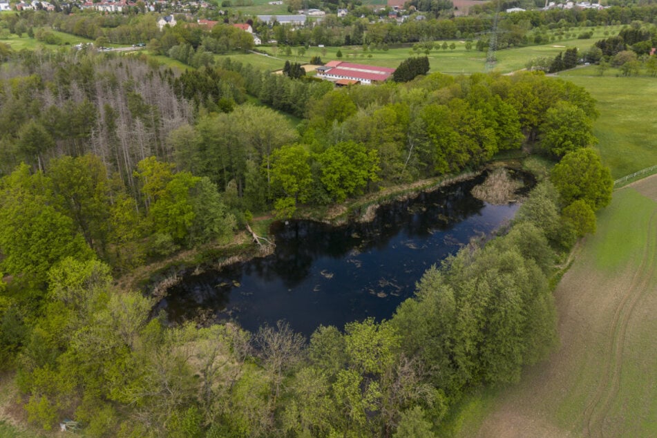 Die Wasserfläche im Schwemmteich wurde von rund 8900 auf etwa 5900 Quadratmeter verkleinert.