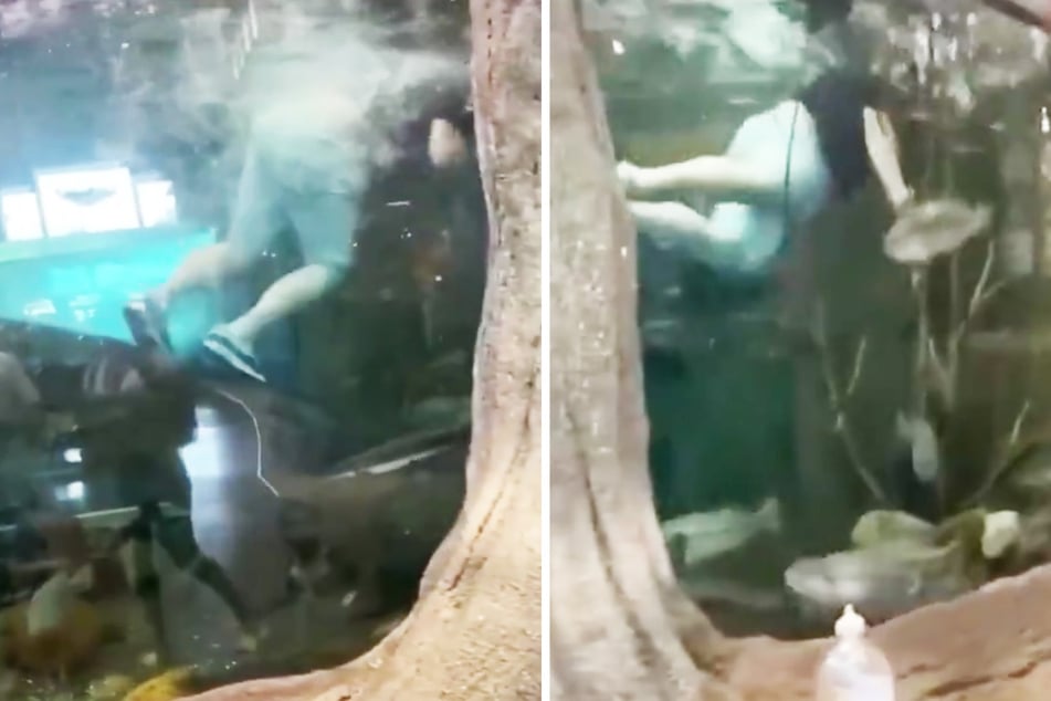 Kevin Wise (26) schwimmt seelenruhig durch ein großes Aquarium mitsamt unzähligen Fischen.