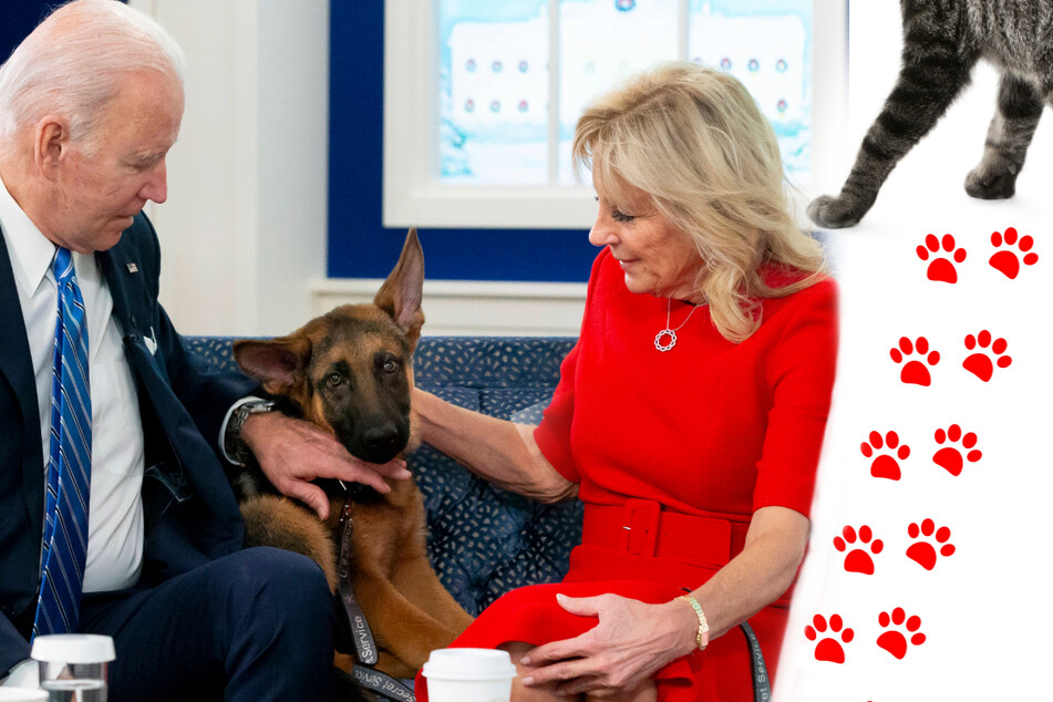 Joe (l.) and Jill Biden are adding another new pet to the family after welcoming their puppy Commander (c.) last month.