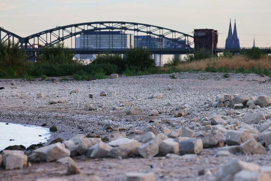 Der Rhein zieht sich zurück und legt Stellen frei, die unter normalen Umständen von Wasser umgeben wären.