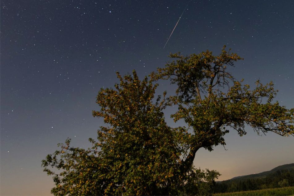 Wer Sternschnuppen sehen will, sollte künstliche Lichtquellen meiden.