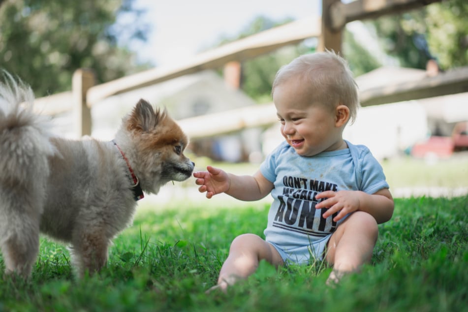 Eine Übertragung von Giardien vom Hund auf Menschen ist möglich, weshalb bei Kindern und älteren Menschen verstärkte Vorsicht angebracht ist.