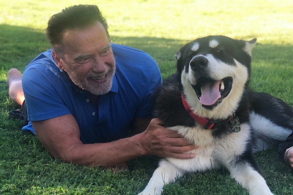 Arnold Schwarzenegger und Dutch.