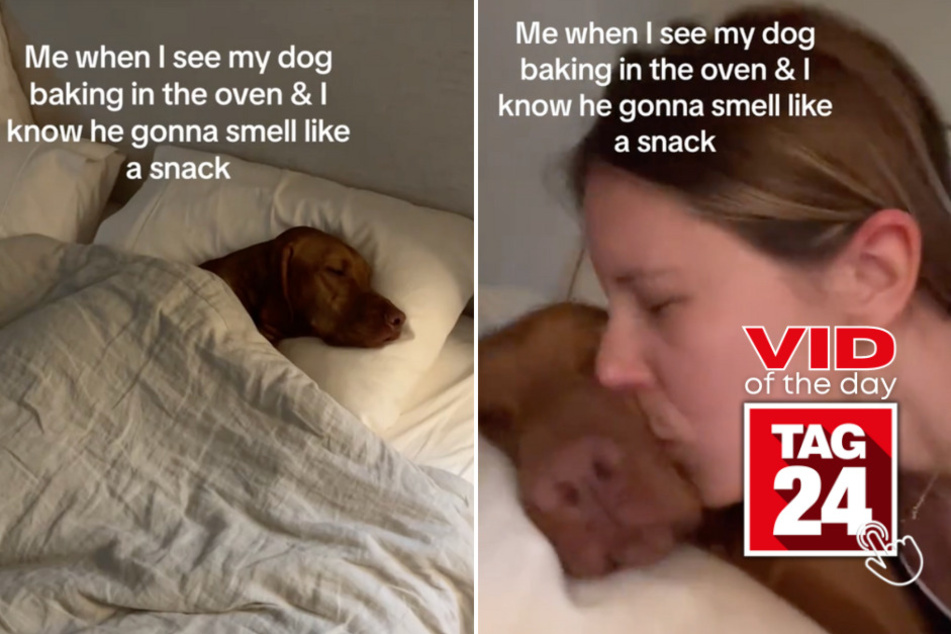 viral videos: Viral Video of the Day for August 20, 2023: Dog owner can't get enough of that "Frito" smell!
