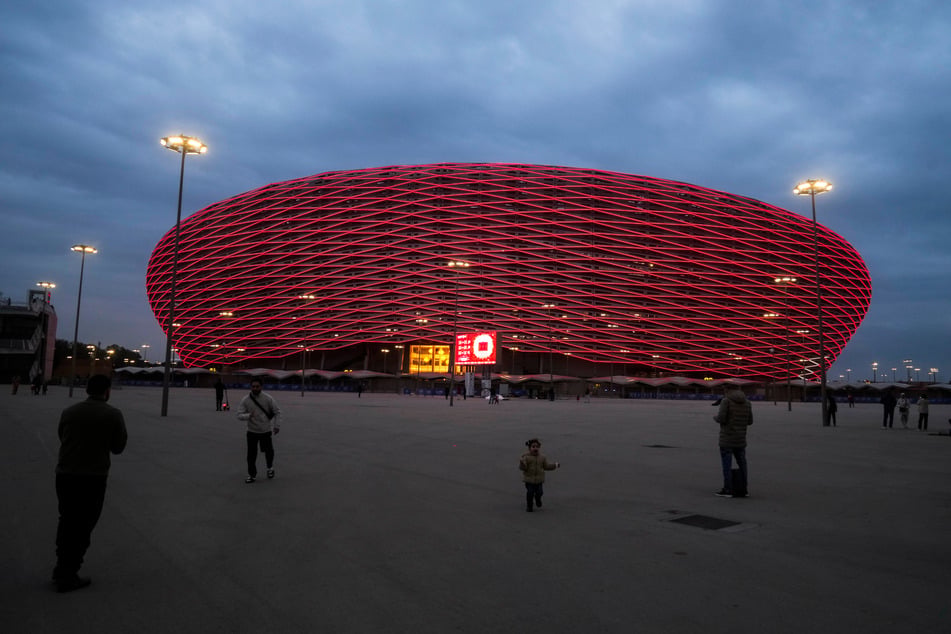 2030 wird die WM unter anderem in Marokkos Hauptstadt Rabat ausgetragen. Hier sollen Hunde schon seit der Vergabe an das afrikanische Land vermehrt getötet werden.