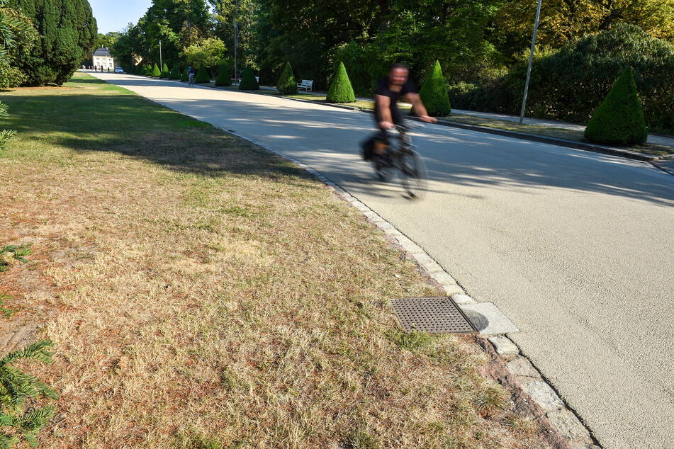 Braune Steppe statt grüne Wiese: Radler und Spaziergänger sehen die Not auf den ersten Blick.