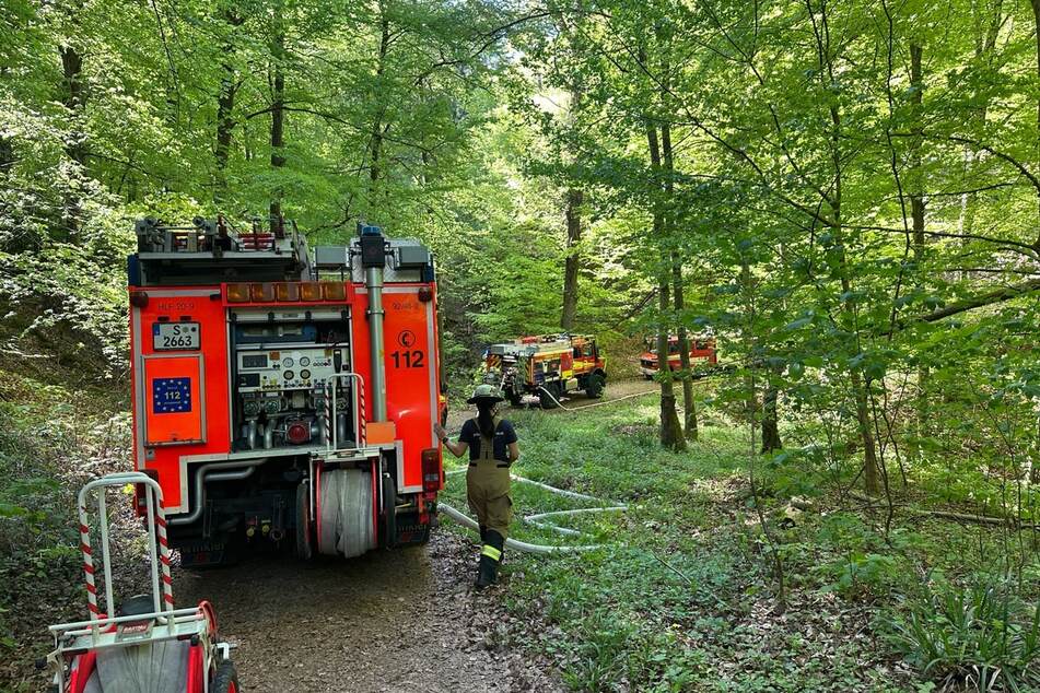 Trotz des herausfordernden Geländes konnte die Feuerwehr die Flammen in einem Waldgebiet bei Stuttgart unter Kontrolle bringen.