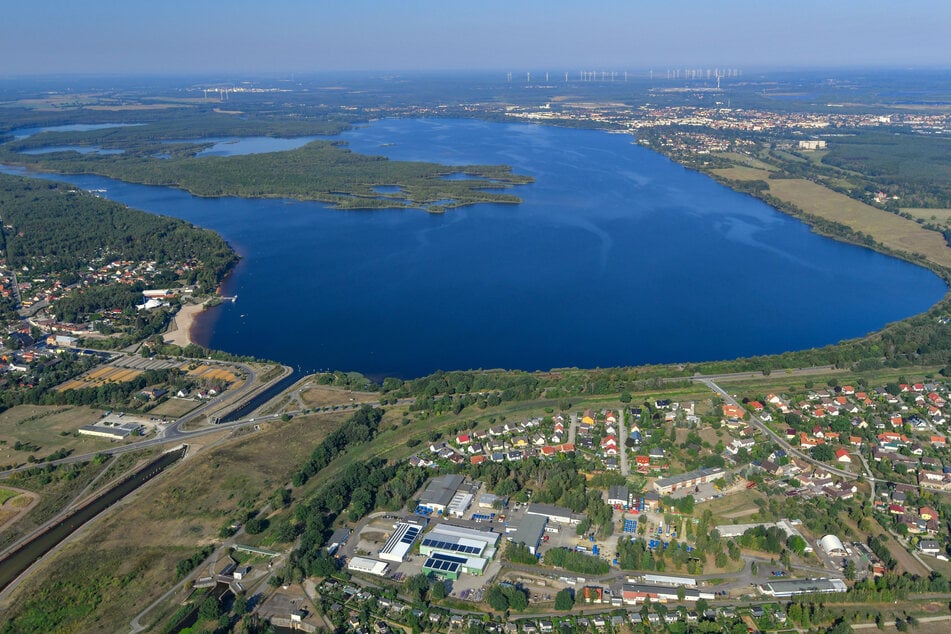 Der Senftenberger See ist das perfekte Ausflugsziel für Familien im Lausitzer Seenland.