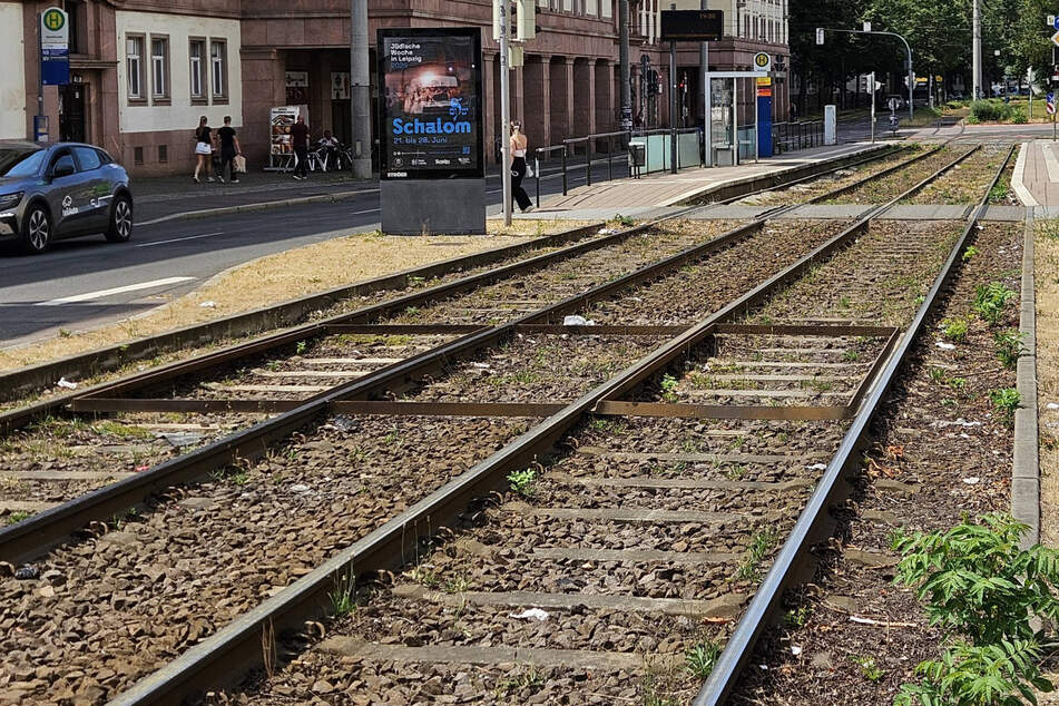 Der Trunkenbold war vermutlich an der Haltestelle Bayerischer Bahnhof in das Gleisbett gerauscht und dieses circa 200 Meter entlanggefahren.