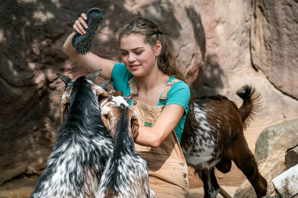 Noch hat Susannes Tochter Luisa Spaß bei ihrem Zoo-Praktikum.