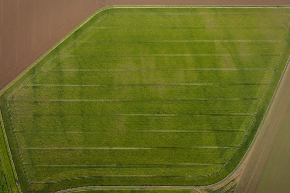 Durch regenerative Landwirtschaft habe man bislang die CO2-Speicherung erhöhen und die Biodiversität verbessern können.