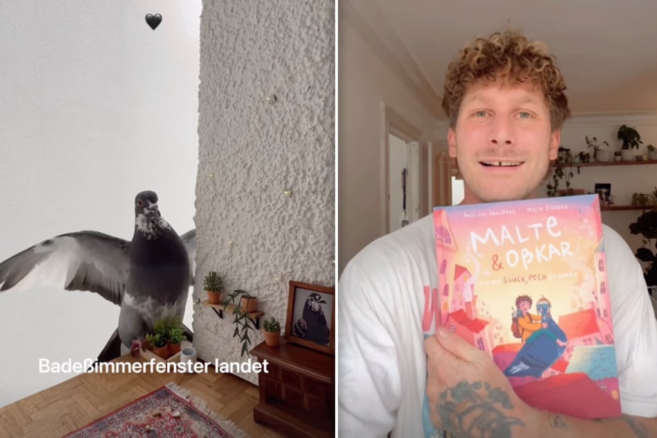 Tierschützer und Influencer Malte Zierden (31) ist gemeinsam mit seiner Co-Autorin Amia von Arenberg mit seinem Kinderbuch auf Platz eins der Bestsellerliste gelandet.