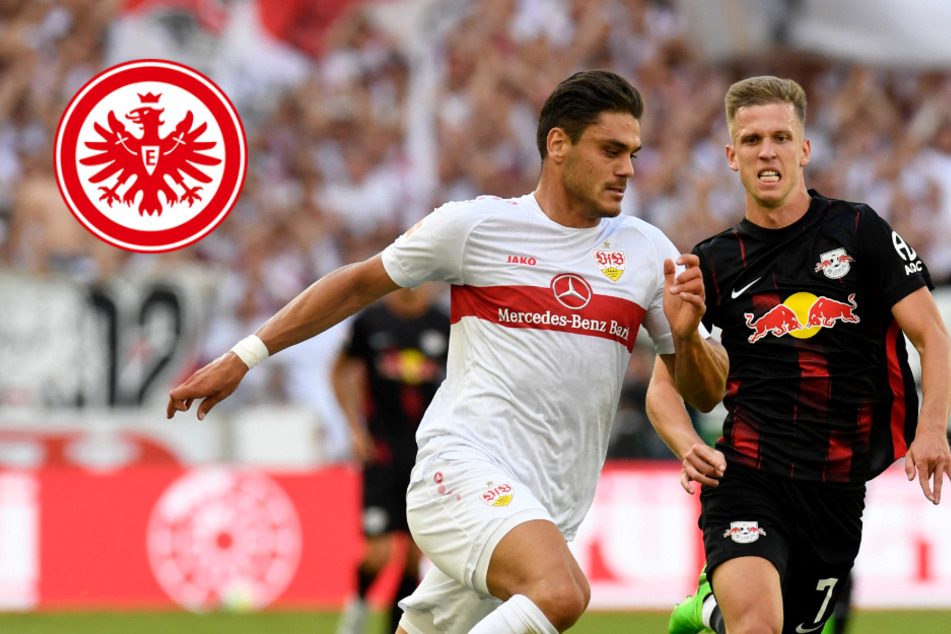 Das wird teuer: Eintracht Frankfurt will diesen Bundesliga-Star wohl unbedingt!