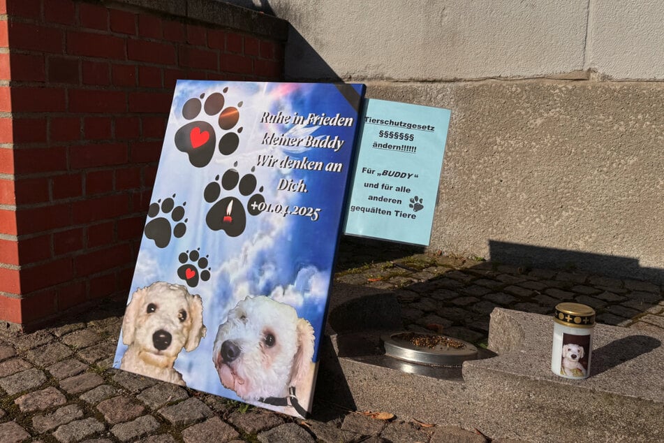 Der Tod des Hundes sorgte für große Anteilnahme.