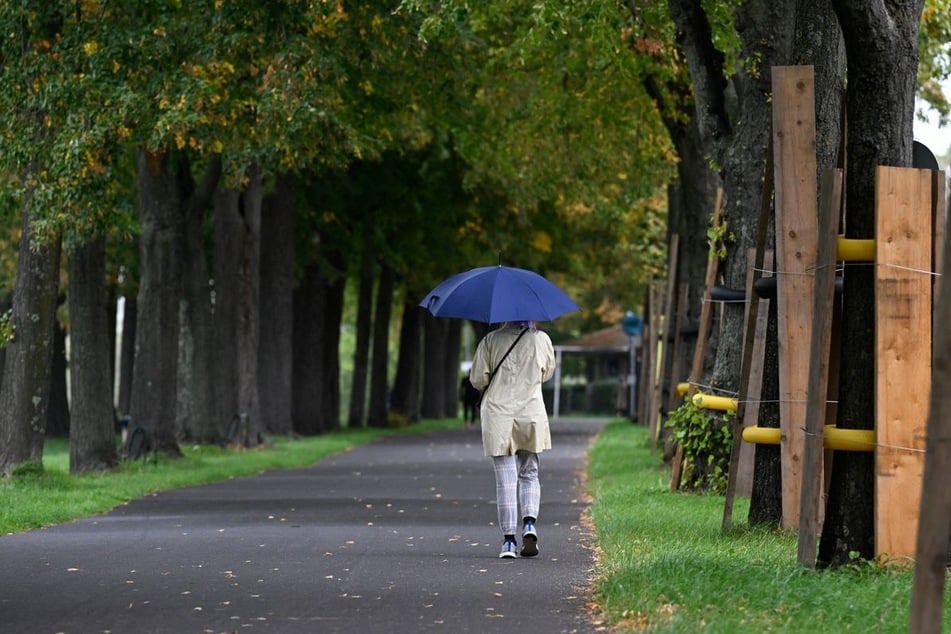 Der Regenschirm wird in den nächsten Tagen in NRW wohl wieder häufiger zum Einsatz kommen. (Symbolfoto)