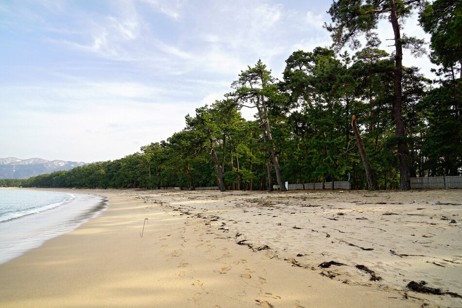 Am Strand von Tsuruga versucht Suzu paarungswillige Menschen kennenzulernen.