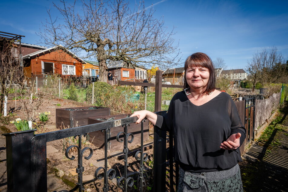 Für Suzanne Krauß (54), Chefin des Stadtverbandes der Kleingärtner, ist Hanfanbau in einer Gartensparte undenkbar.
