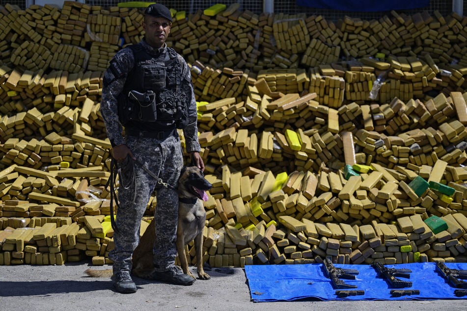 Hulk, a police dog that took part in an operation in which 48 tons of marijuana were seized, poses in front of packages containing the drug and weapons at the City of Police in Rio de Janeiro, Brazil on Wednesday.