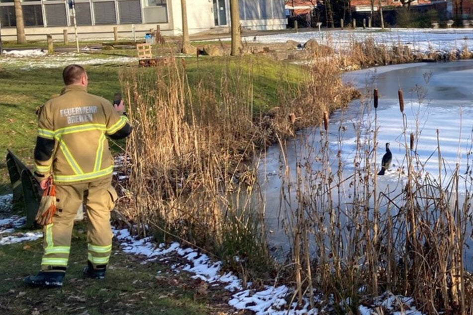 Zum Schluss konnte der Wildvogel wieder im Park des Klinikums freigelassen werden.